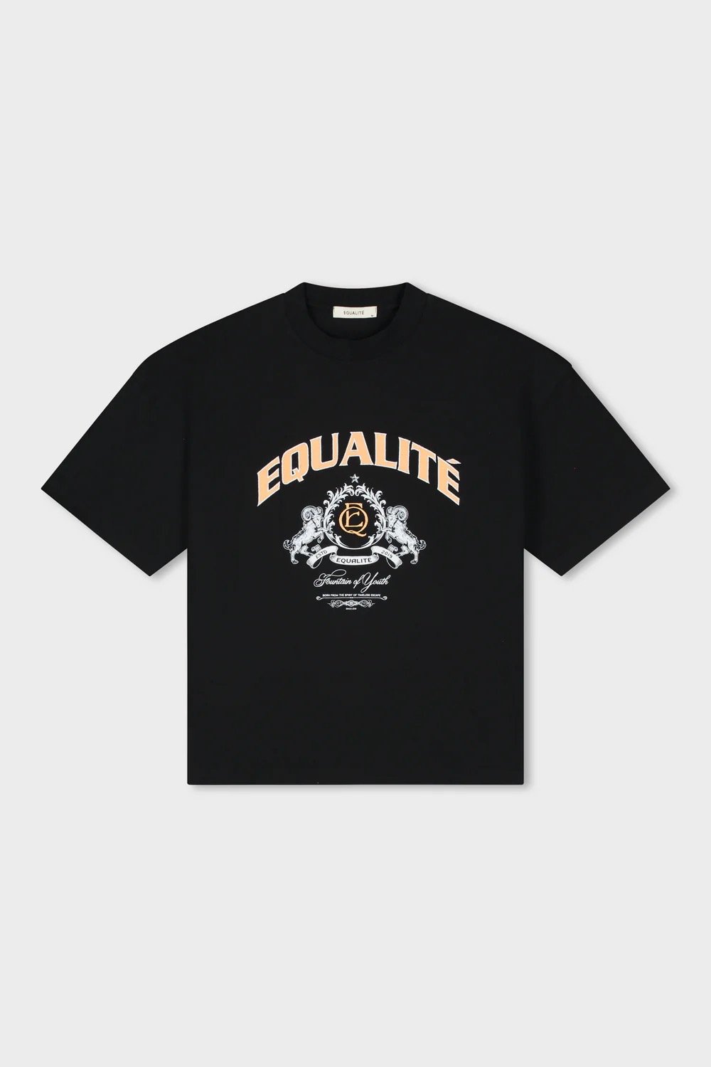 EQUALITÉ DANI BOXY FIT TEE BLACK