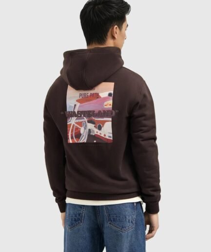 Pure Path: Wasteland Studios Hoodie 25030317 Dark Brown